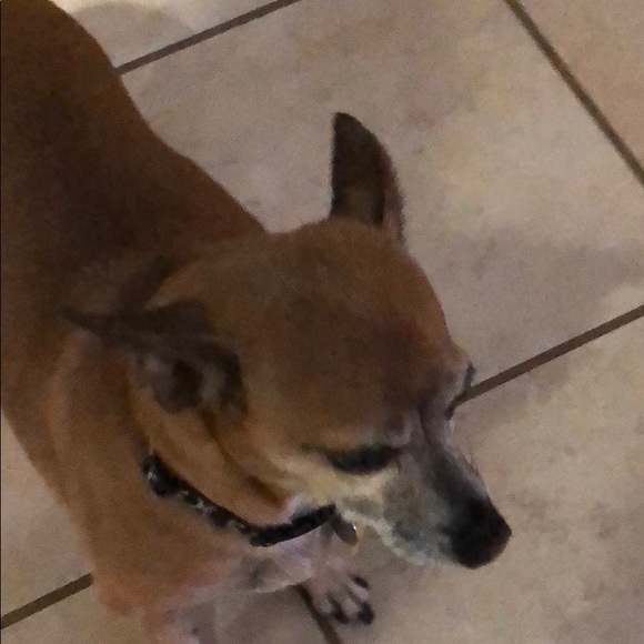 Meet your Posher, Jessica - Picture 1 of 1